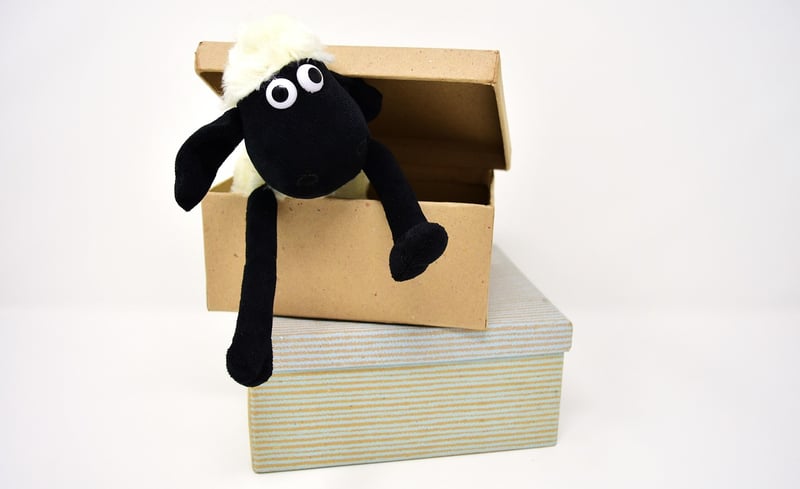 Cardboard Box Creations